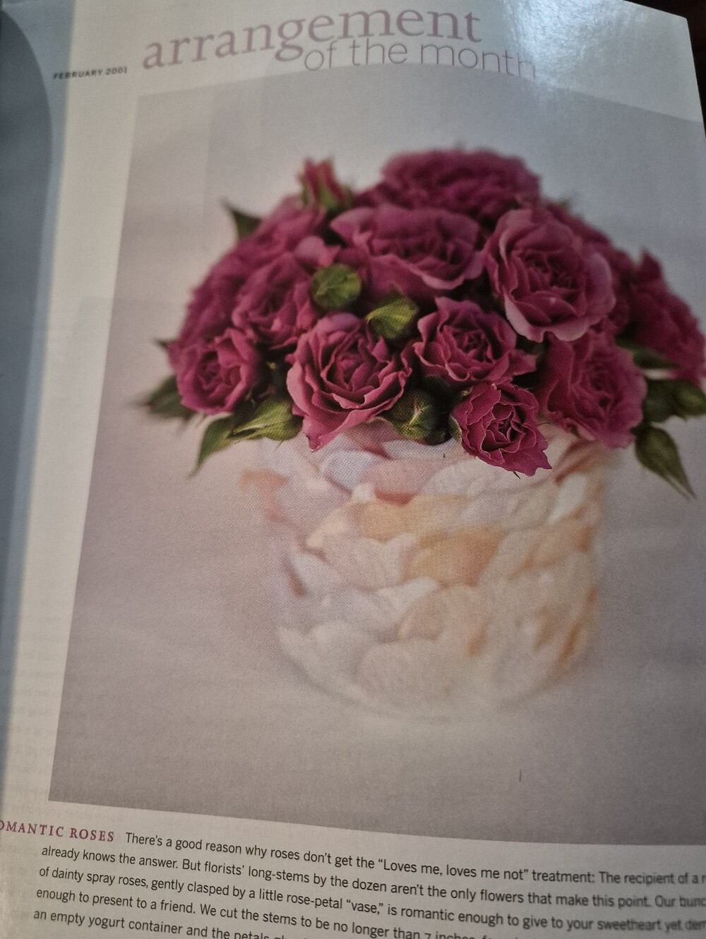 Martha Stewart Living Magazine. February 2001 - Picture 4 of 6